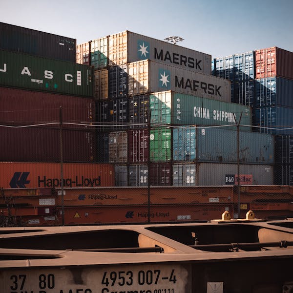 Import & Export Customs